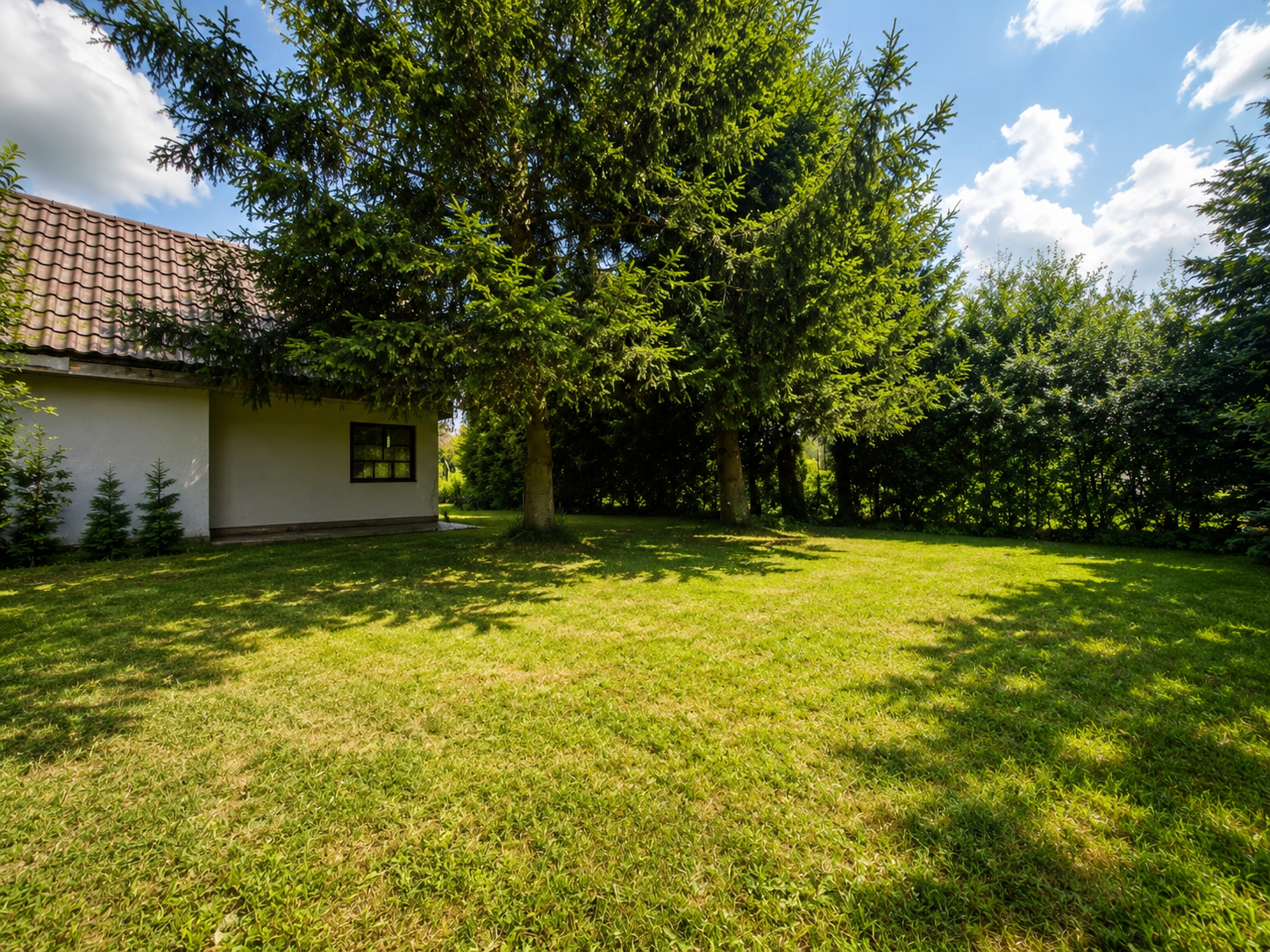 image6